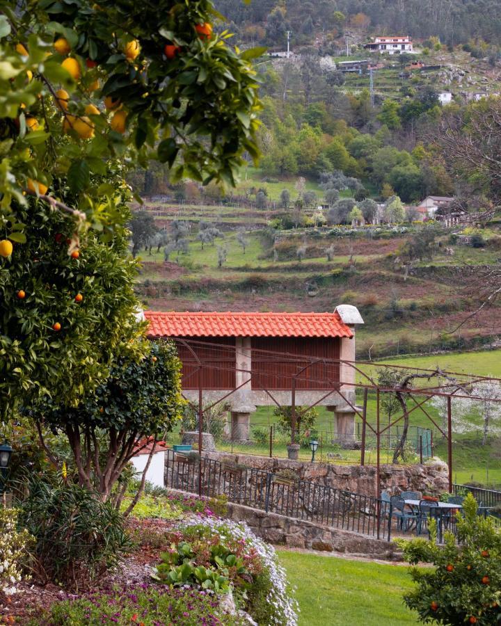 Willa Quinta Do Tapadinho - Wine & Tourism Moimenta Zewnętrze zdjęcie