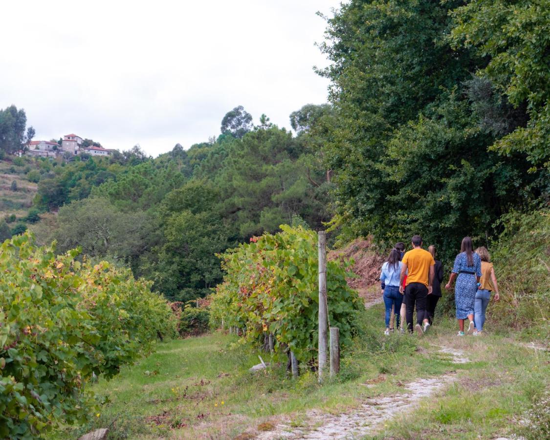 Willa Quinta Do Tapadinho - Wine & Tourism Moimenta Zewnętrze zdjęcie