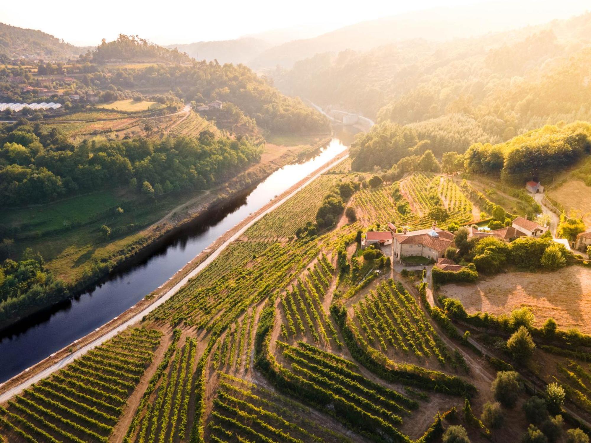 Willa Quinta Do Tapadinho - Wine & Tourism Moimenta Zewnętrze zdjęcie